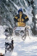 Снежные псы / Snow Dogs (Кьюба Гудинг мл, 2002)  B2250a204864024