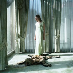 ImageBam image upload